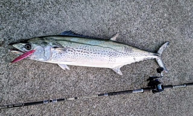 Fishman ベンダバール10.1M 着弾！！試し投げしてきました！