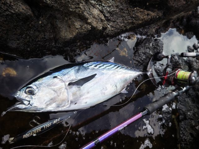 Fishman ベンダバール10.1M 着弾！！試し投げしてきました！