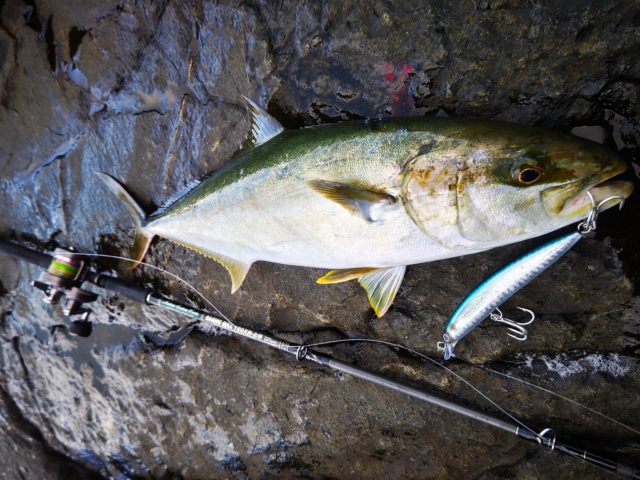 Fishman ベンダバール10.1M 着弾！！試し投げしてきました！